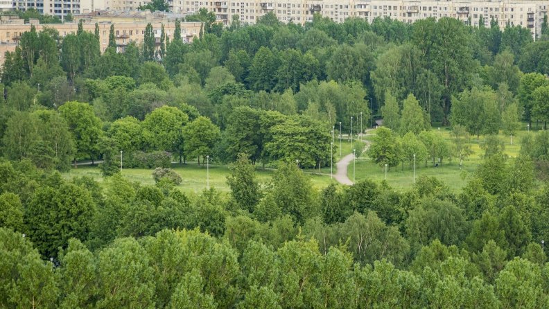 Пискаревский Парк Фото